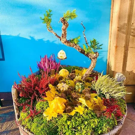 Hotel Valgioconda 3*